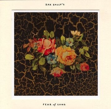 Vinylplate Zak Sally's Fear Of Song - Why We Hide (LP) - 2