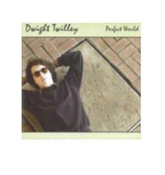 Vinyl Record Dwight Twilley - Perfect World (LP) - 2