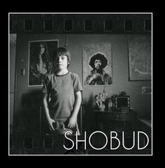 Vinyl Record The Bixby Knolls - Through The Cracks (7") - 1