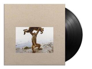 Schallplatte Shellac - Dude Incredible (180 g) (LP + CD) - 1