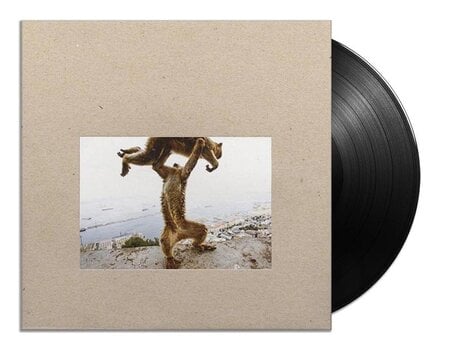 Schallplatte Shellac - Dude Incredible (180 g) (LP + CD) - 2