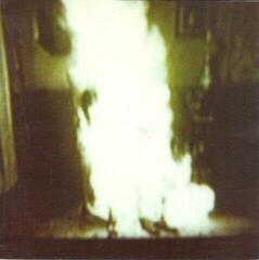 Disco de vinil Flowers In The Attic - Human (LP) - 1