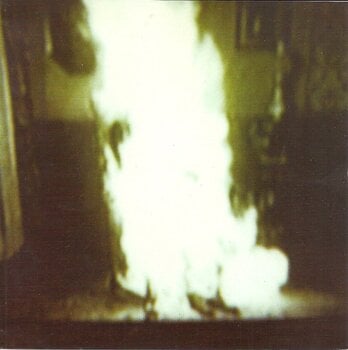 Disco de vinil Flowers In The Attic - Human (LP) - 2
