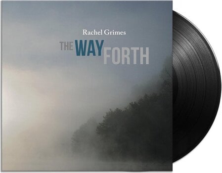 Disco in vinile Rachel Grimes - The Way Forth (2 LP) - 2