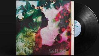 Hanglemez Pale Saints - The Comforts Of Madness (Reissue) (LP) - 1