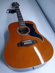 12-strenget akustisk-elektrisk guitar Eko guitars 815445 (B-Stock) #815445 - 1