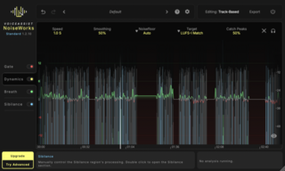 Programski plugin efekti NoiseWorks VoiceAssist Standard (Digitalni proizvod) - 2