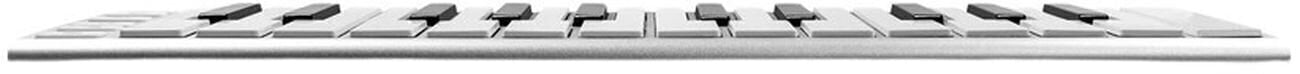Tipul tastaturii