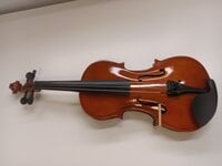 Pasadena SGV 015 1/2 Violin