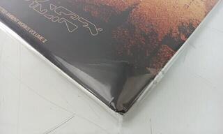 Vinyylilevy Aphex Twin 816193 (B-Stock) #816193 - 2