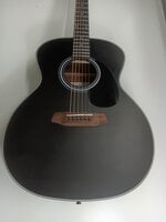 Pasadena PG-100 Black Jumbogitar