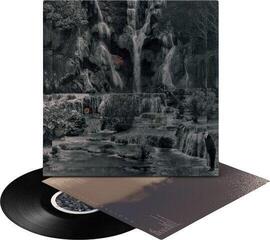 Δίσκος LP Lambchop - Punching The Clown (LP) - 1