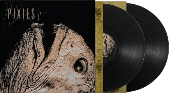Disco de vinilo Pixies - Complete B-Sides: 1988-97 (Gatefold Sleeve) (2 LP) - 2