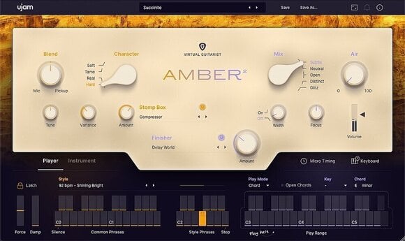 Update / Upgrade / Expansion UJAM Virtual Guitarist Bundle Upgrade (Digitalni proizvod) - 5