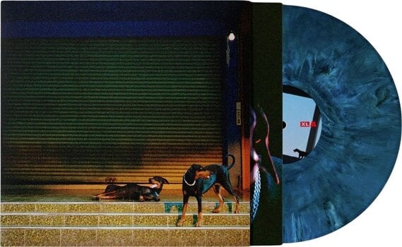 Vinüülplaat Overmono - Pure Devotion (Blue Smoke Coloured) (LP) - 2