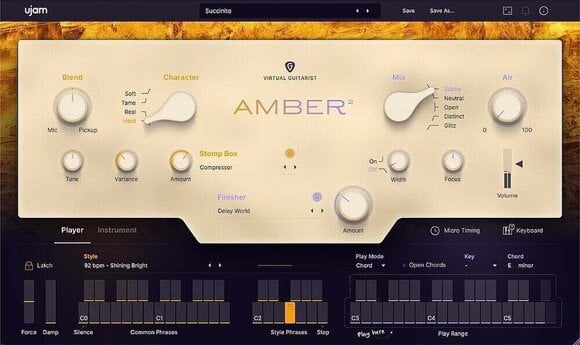 VST Instrument UJAM Virtual Guitarist Bdl Loyalty Offer (Produkt cyfrowy) - 5