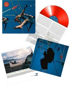 Vinüülplaat Sondre Lerche - Acrobats (Red Coloured) (LP) - 2
