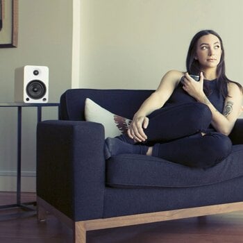 Hi-Fi Wireless speaker
 Kanto YU4 Hi-Fi Wireless speaker - 10
