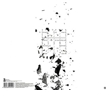 Вінілові платівки Palisades - Erase the Pain (Limited Edition) (LP) - 2