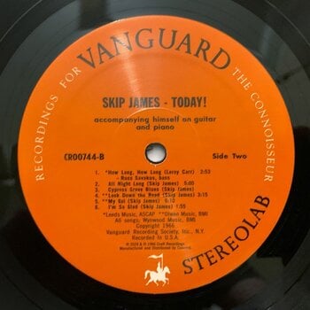 Schallplatte Skip James - Skip James Today! (Remastered) (Bluesville Acoustic Sounds) (180 g) (LP) - 3