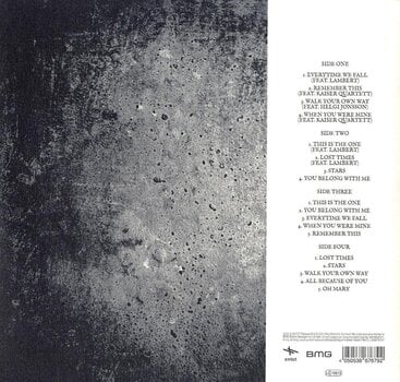 Vinüülplaat Anna Ternheim - A Space For Lost Time (3 LP) - 2