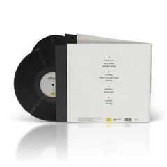 Vinyl Record Hania Rani & Dobrawa Czocher - Inner Symphonies (Coloured) (180 g) (2 LP) - 2