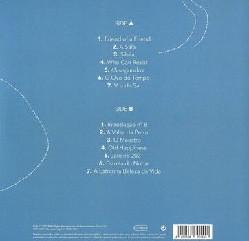 LP ploča Rodrigo Leão - A Estranha Beleza Da Vida (LP) - 2