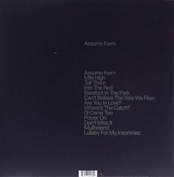 LP ploča James Blake - Assume Form (180 g) (2 LP) - 3