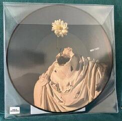 Vinüülplaat The Offspring - Splinter (LP) - 2