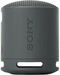 Portable Lautsprecher Sony SRS-XB100 Black Portable Lautsprecher - 1