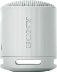 Portable Lautsprecher Sony SRS-XB100 Grey Portable Lautsprecher - 1