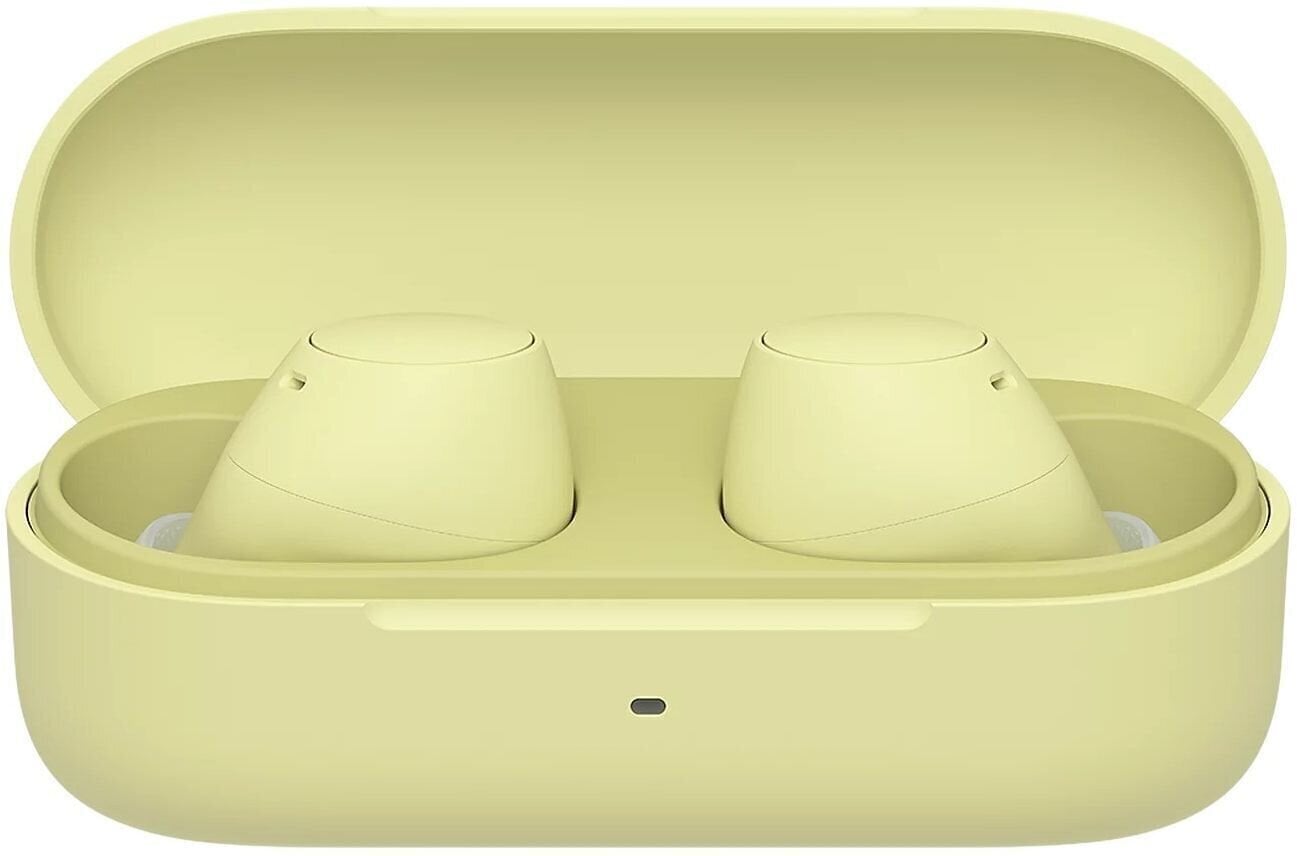 Microphone