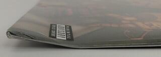 Vinylskiva Bring Me The Horizon - Post Human: Nex Gen (Blue Coloured) (LP) (Precis uppackade) - 2