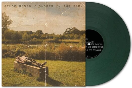 Disc de vinil Bruce Soord - Ghosts In The Park (Dark Green Coloured) (LP) - 2