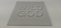 Nick Cave & The Bad Seeds - Wild God (LP)