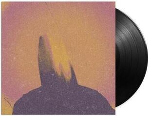 LP ploča Hanry - What Came From Silence (LP) - 1