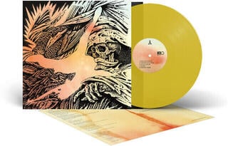 LP deska The Heavy Eyes - Focus (Transparent Yellow Coloured) (LP) - 1