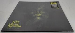 Schallplatte Wiz Khalifa - Rolling Papers (Emerald Green Coloured) (2 LP) (Nur ausgepackt) - 1