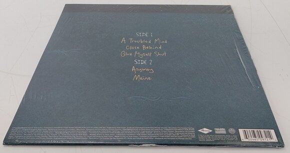 Schallplatte Noah Kahan - Cape Elizabeth (Aqua Coloured) (LP) (Nur ausgepackt) - 5