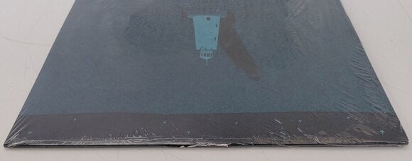 Schallplatte Noah Kahan - Cape Elizabeth (Aqua Coloured) (LP) (Nur ausgepackt) - 10