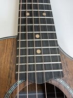Ibanez EWP14WB-OPN