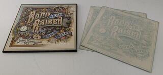 Disco in vinile John Mayer - Born and Raised (Gatefold Sleeve) (2 LP + CD) (Solo aperto) - 1