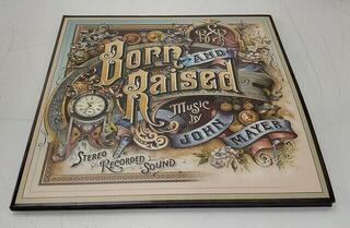 Disco in vinile John Mayer - Born and Raised (Gatefold Sleeve) (2 LP + CD) (Solo aperto) - 6