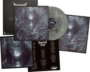 Vinila plate Daemonium Regni - Daemonium Regni (Galaxy Grey/Black Coloured) (LP) - 1