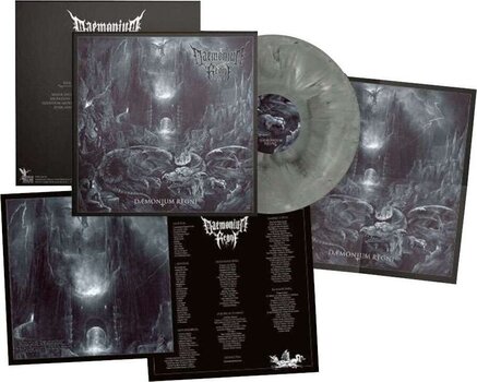 Vinila plate Daemonium Regni - Daemonium Regni (Galaxy Grey/Black Coloured) (LP) - 2
