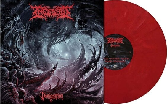 Vinila plate Ingested - Denigration (Red Marble Coloured) (LP) - 2