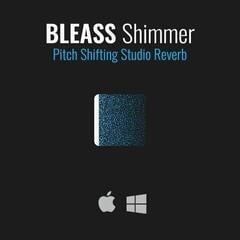 Programski Plug-In efekti BLEASS BL Shimmer (Digitalni proizvod) - 1