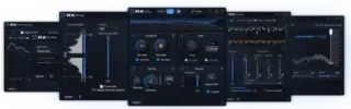 Studio-Effekt-Plugin iZotope Elements Suite 12 (Digitales Produkt) - 4