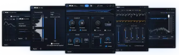 Studio-Effekt-Plugin iZotope Elements Suite 12 (Digitales Produkt) - 5