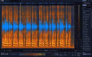 Studio-Effekt-Plugin iZotope RX Post Production Suite 9 (Digitales Produkt) - 2